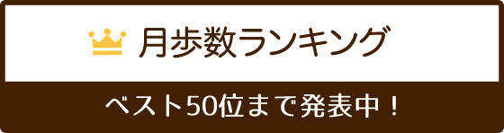 歩数ランキング