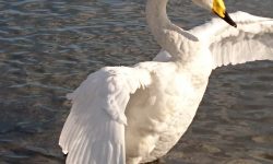 DSC_3308.JPG